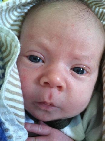 GreatGrand Son Alder