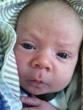 GreatGrand Son Alder